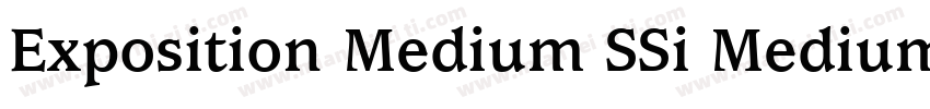 Exposition Medium SSi Medium Italic字体转换